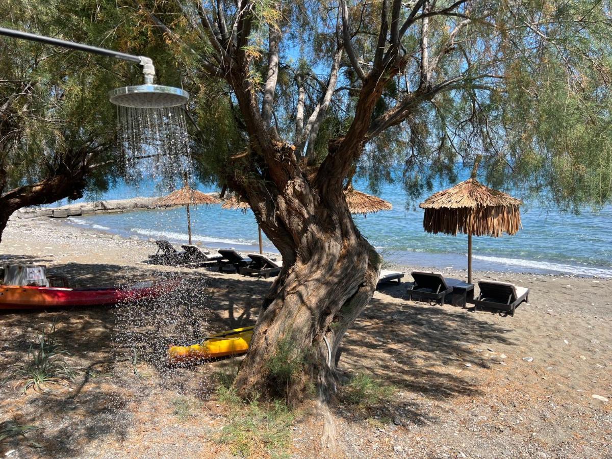 Nikkon Luxury Living Arvi (Crete) Exterior foto